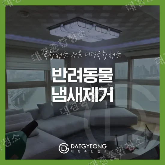 강남 반려동물 냄새제거 업체 쾌적한 환경을 위한 확실한 특수청소 과정