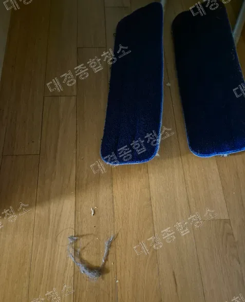 강남 반려동물 냄새제거 업체 쾌적한 환경을 위한 확실한 특수청소 과정