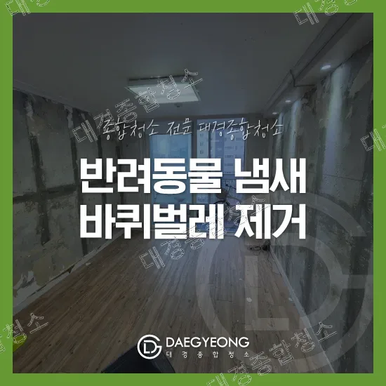 부평 반려동물 냄새제거 비용 바퀴벌레 제거까지 진행한 특수청소 방법