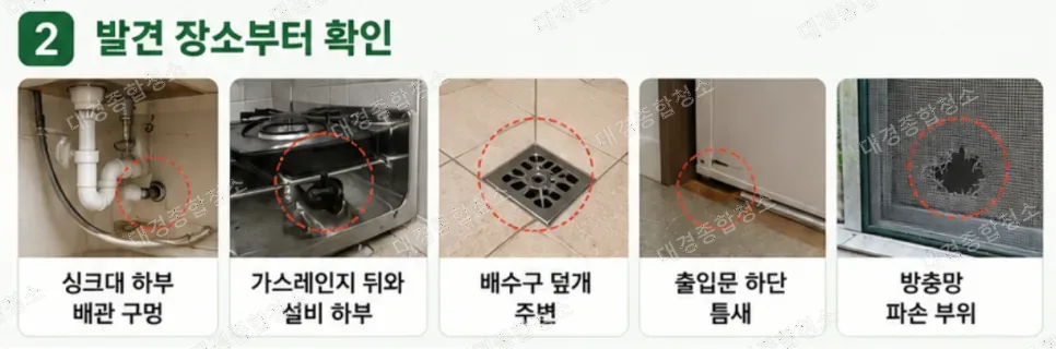 바퀴벌레 종류별 해충 방역 노하우｜독일바퀴 미국바퀴 차이와 방제 기준