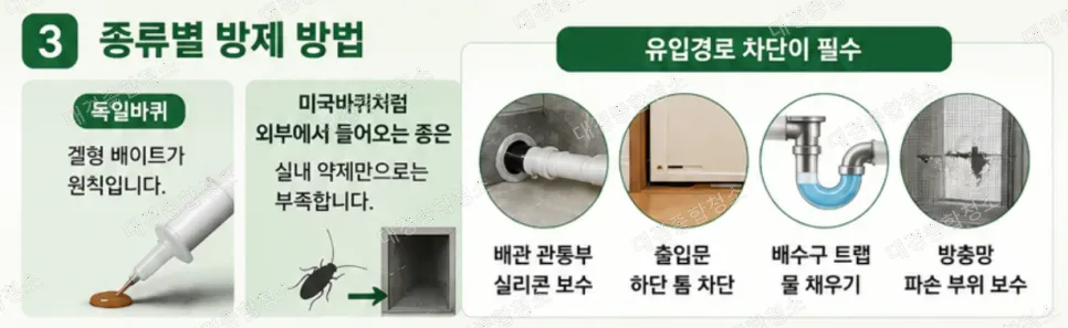 바퀴벌레 종류별 해충 방역 노하우｜독일바퀴 미국바퀴 차이와 방제 기준