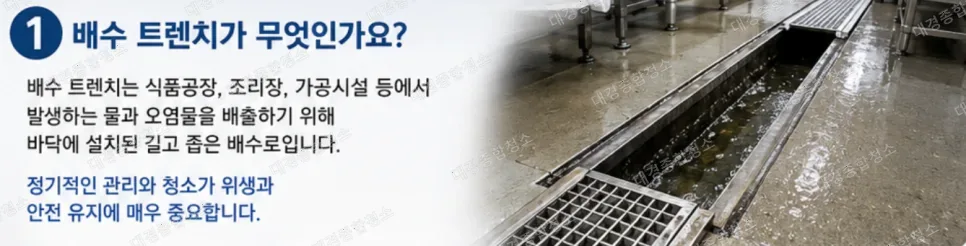 식품공장 청소｜깨끗한 위생 관리를 위한 배수 트렌치 청소의 중요성