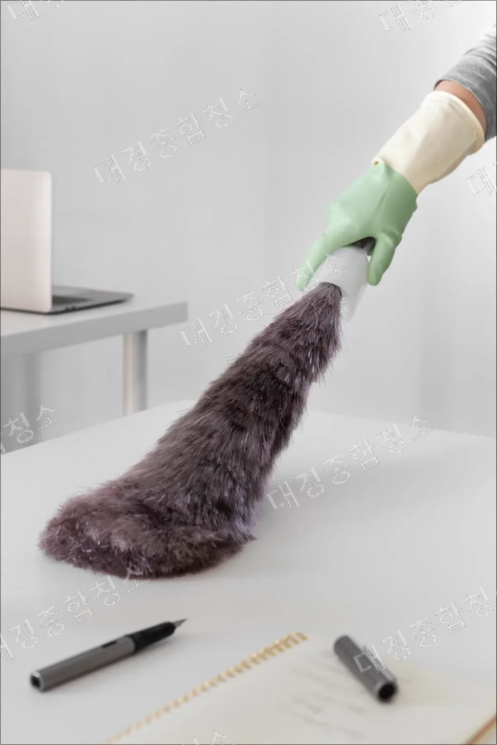 반려동물 키우는 집 어떻게 청소해야 할까?