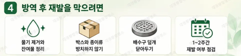바퀴벌레 종류별 해충 방역 노하우｜독일바퀴 미국바퀴 차이와 방제 기준