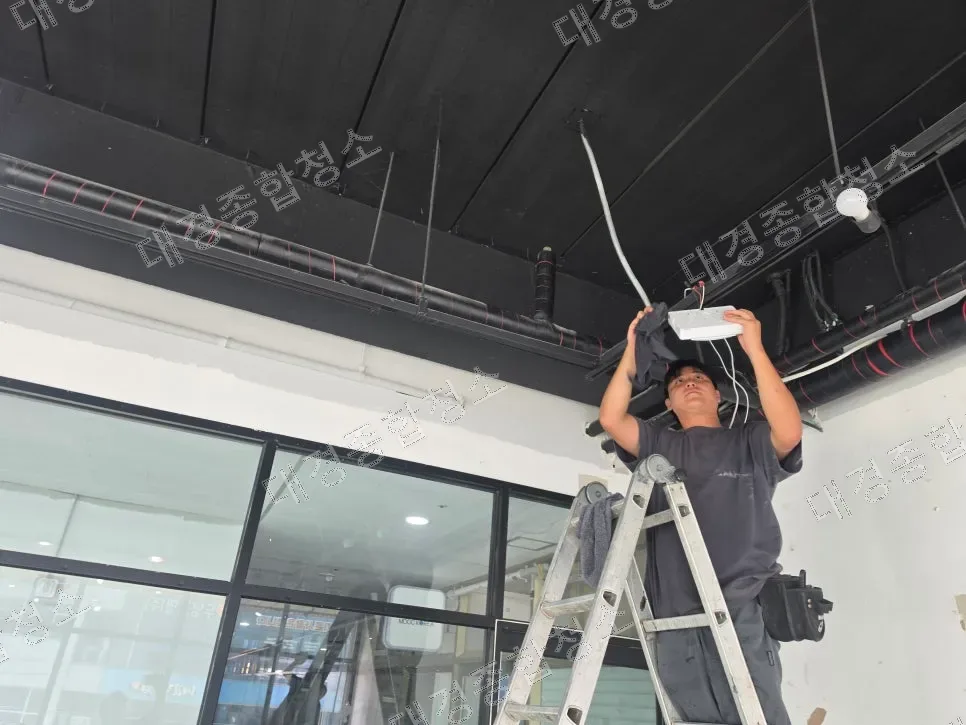 청라 애견호텔 퇴거청소 쌓인 반려동물 털과 냄새 제거 특수청소