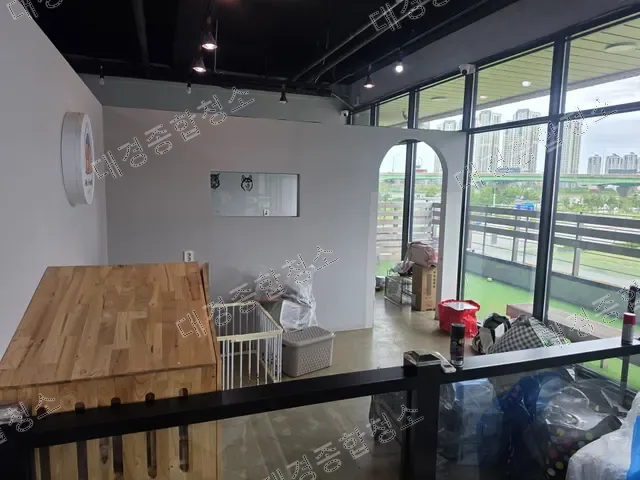 채광창 옆 원목 가구와 반려동물 용품이 쌓인 호텔 라운지