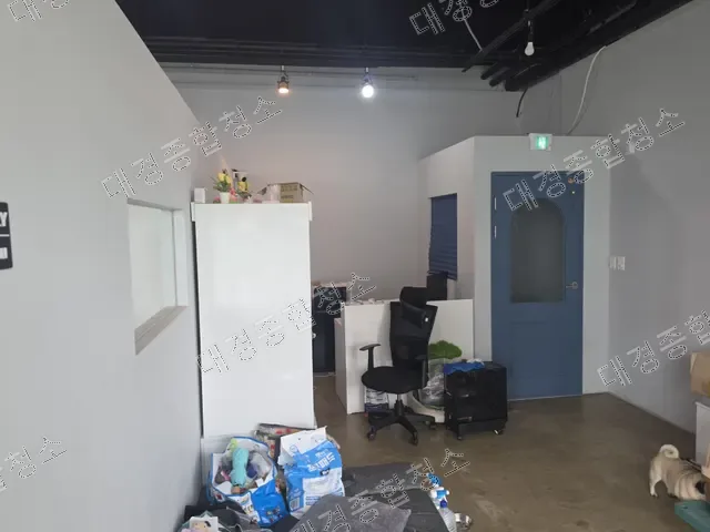 파란색 아치문과 사무 공간, 바닥에 쌓인 반려동물 짐