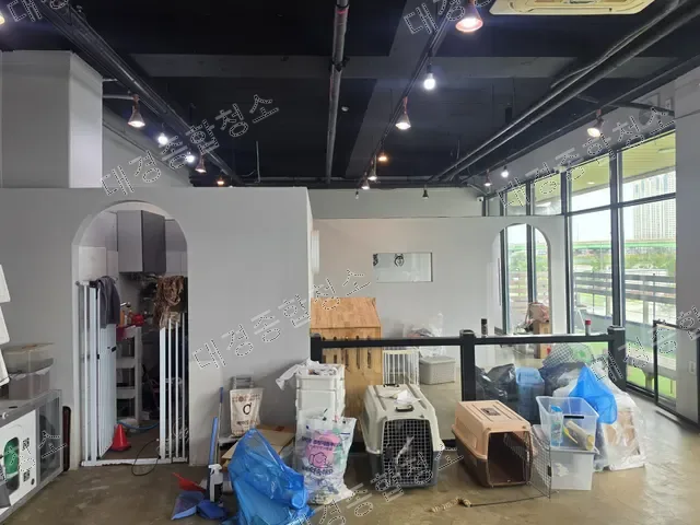 이동장과 청소 용품이 정리된 애견호텔 실내 전경