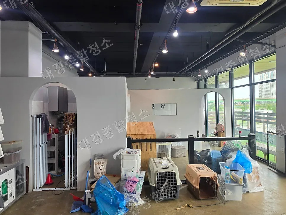 부평 애견호텔 전체 철거 후 퇴거청소, 현장을 가득 메운 강아지 냄새 제거까지 청소 후기