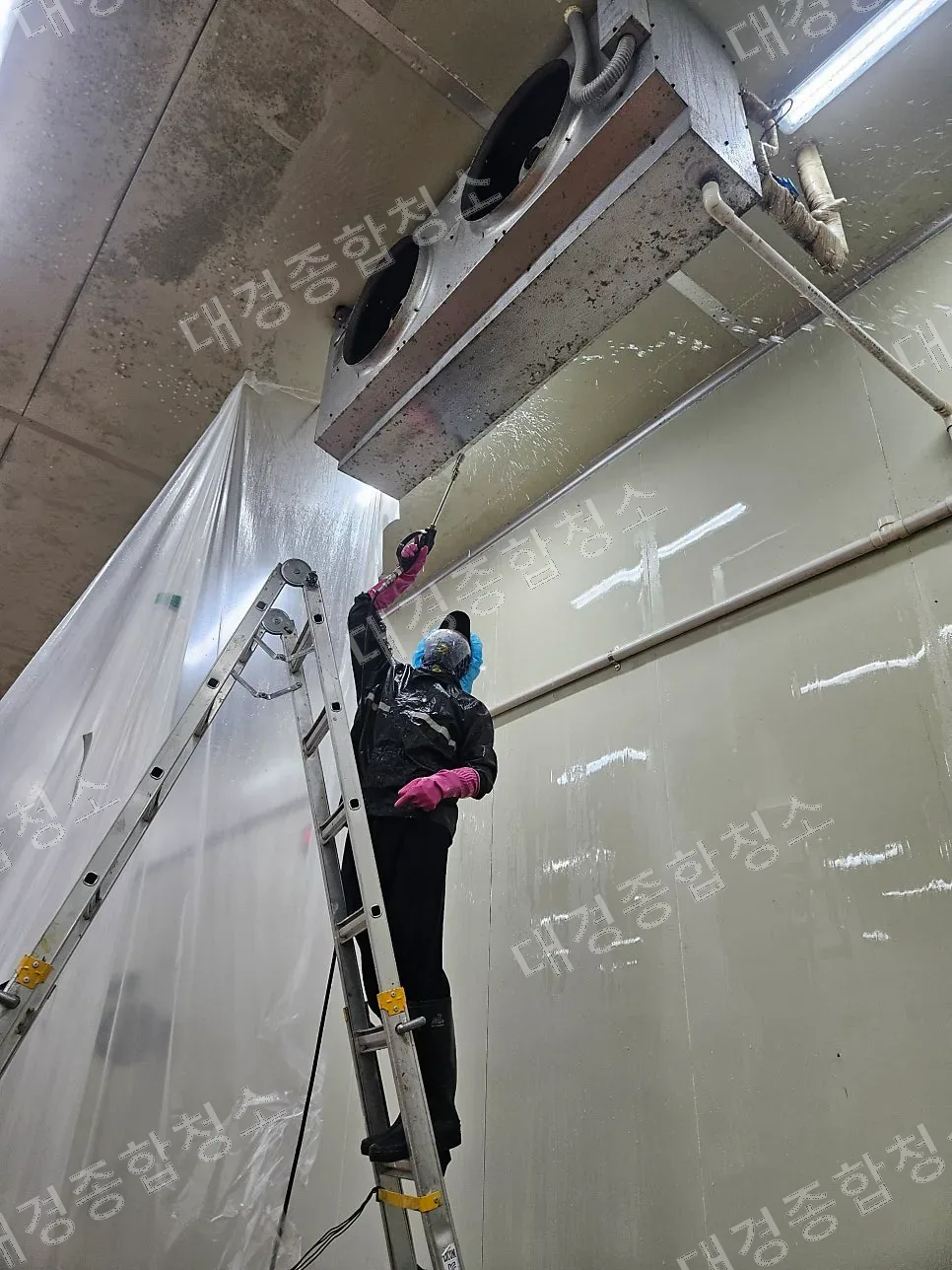 일산 식품공장 유니트쿨러청소 후기 냉각 효율을 올리는 청소 방법