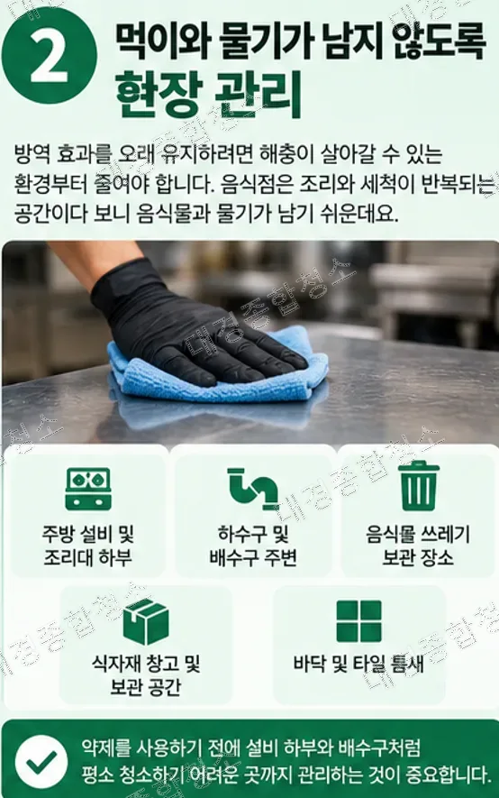 음식점 해충 제거, 약을 뿌려도 다시 생기는 이유