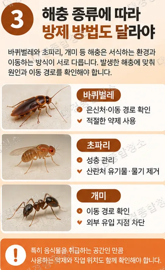 음식점 해충 제거, 약을 뿌려도 다시 생기는 이유