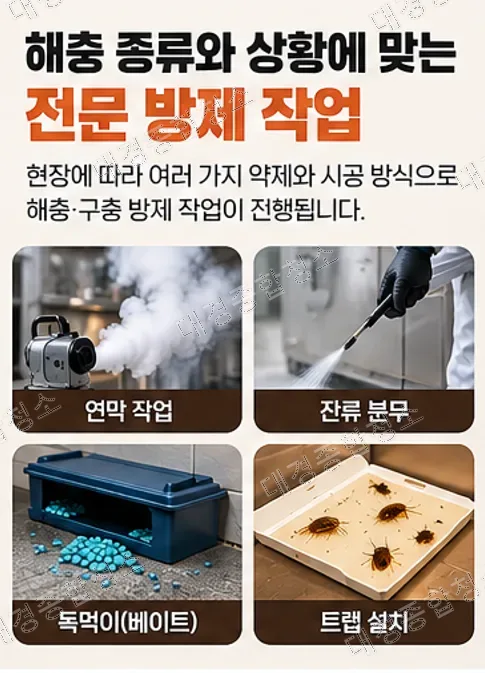 요식업 사장님들이 반드시 신경 써야 할 음식점 해충·구충 방제 작업