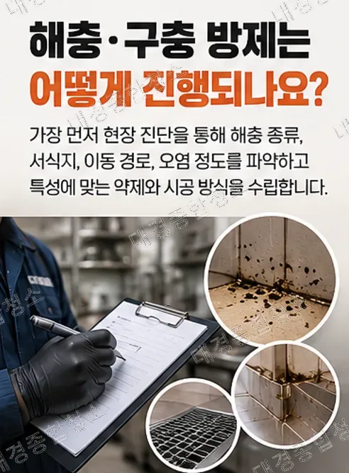 요식업 사장님들이 반드시 신경 써야 할 음식점 해충·구충 방제 작업
