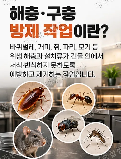 요식업 사장님들이 반드시 신경 써야 할 음식점 해충·구충 방제 작업