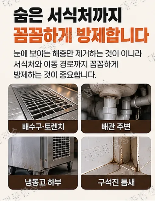 요식업 사장님들이 반드시 신경 써야 할 음식점 해충·구충 방제 작업
