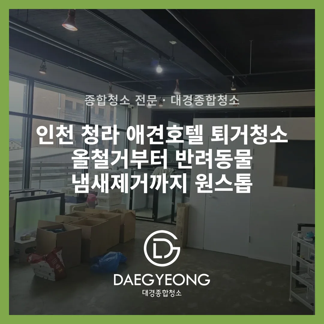 애견호텔 내부 반려동물 이동장과 짐이 놓인 정리 전 실내