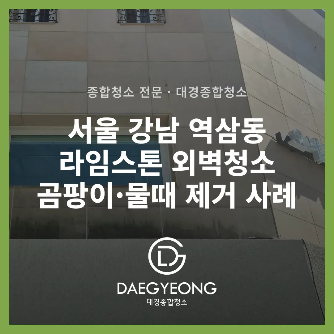 외벽 곰팡이와 물때가 있는 상태